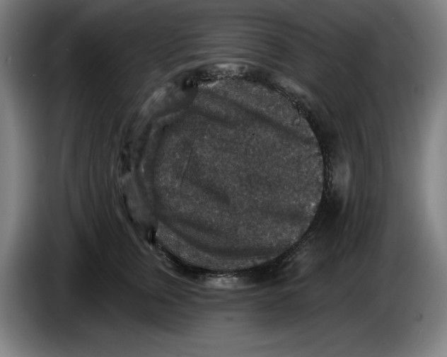 X0000085260759200703301832