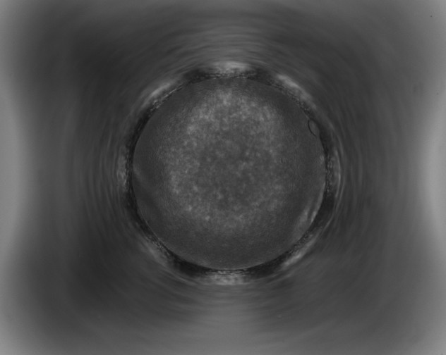 X0000085260762200703301832