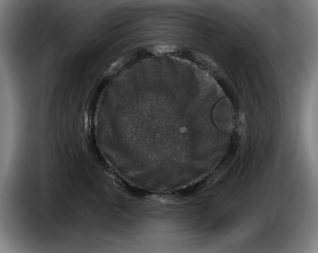 X0000085260763200703301832