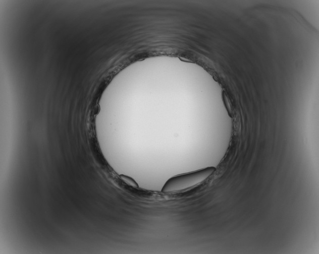 X0000085260764200703301832