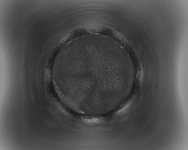 X0000085260772200703301832