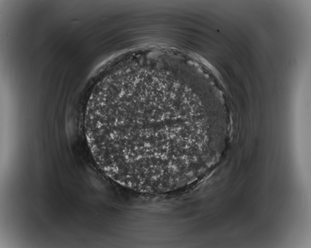 X0000085260775200703301832