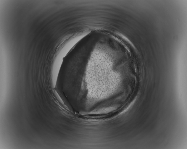 X0000085260777200703301832