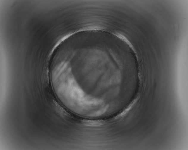 X0000085260781200703301832