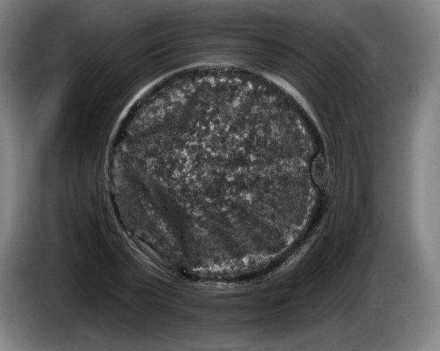 X0000085260783200703301831