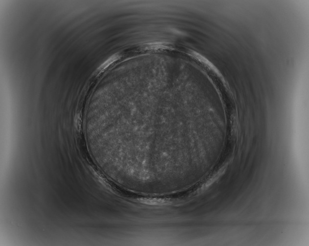 X0000085260785200703301831