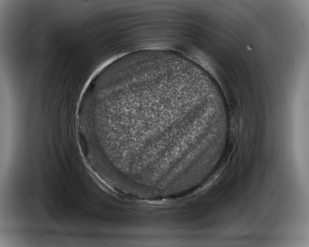 X0000085260787200703301831