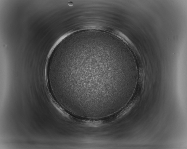 X0000085260788200703301831