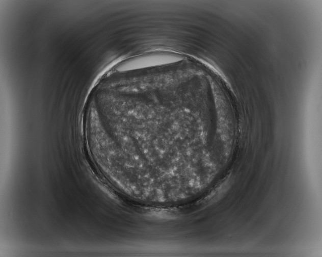 X0000085260790200703301831