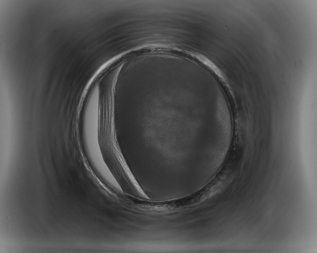 X0000085260791200703301831