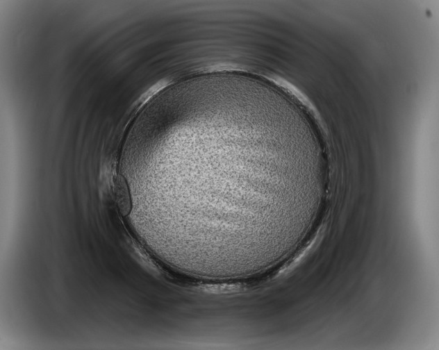 X0000085260793200703301831