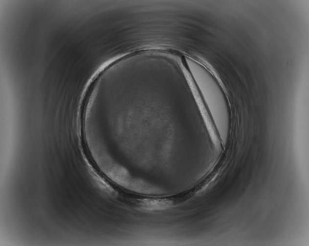 X0000085260795200703301831