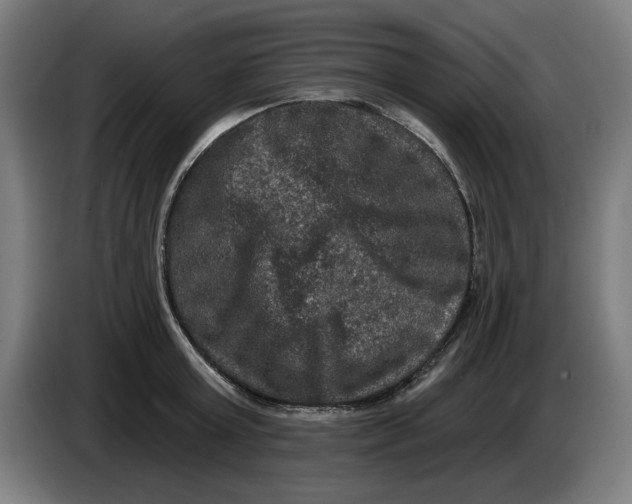 X0000085260803200703301831