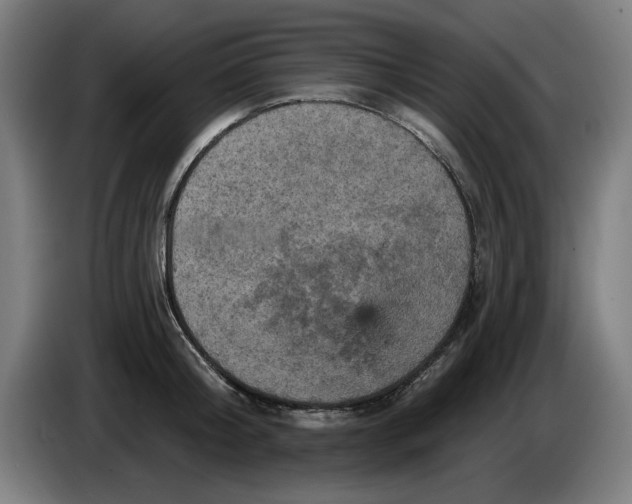 X0000085260804200703301831