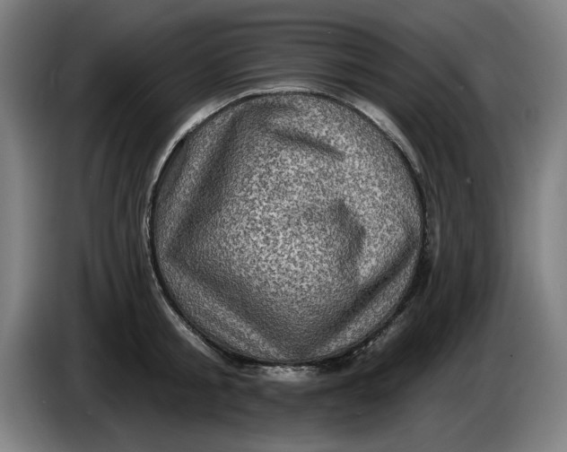 X0000085260805200703301831