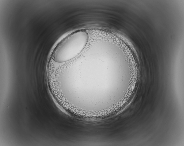 X0000085260808200703301831