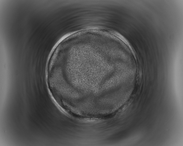 X0000085260811200703301831