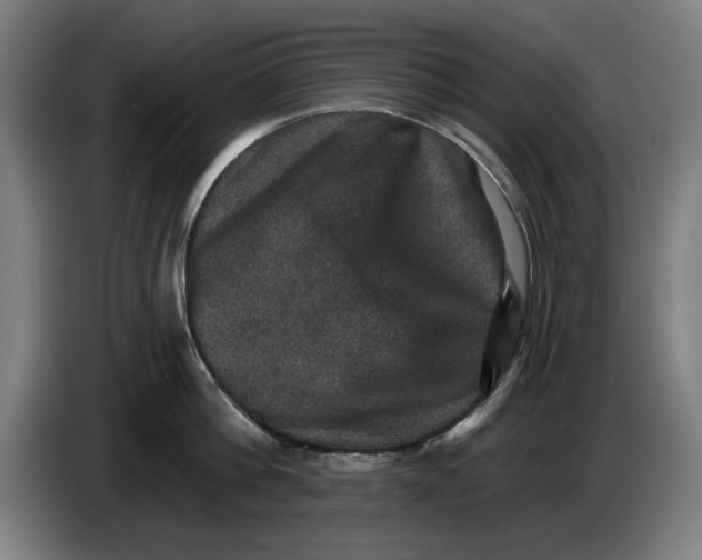 X0000085260812200703301831