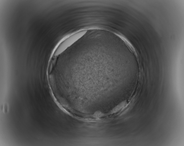 X0000085260813200703301831