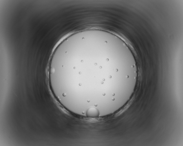 X0000085260814200703301831