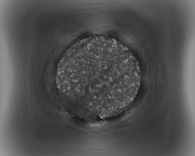 X0000085260817200703301830