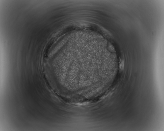 X0000085260819200703301830