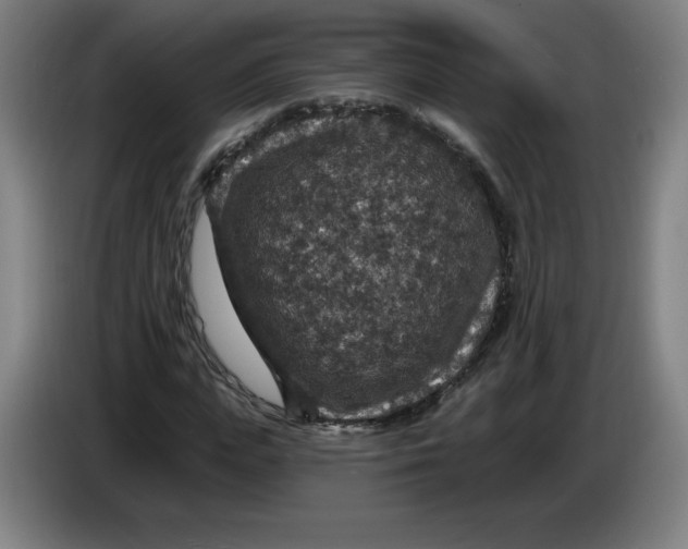 X0000085260823200703301830