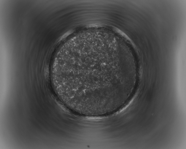 X0000085260825200703301830