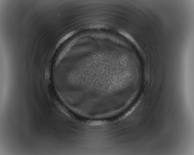 X0000085260826200703301830