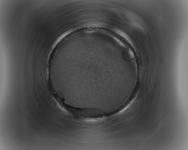 X0000085260829200703301831