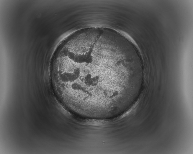 X0000085260831200703301831