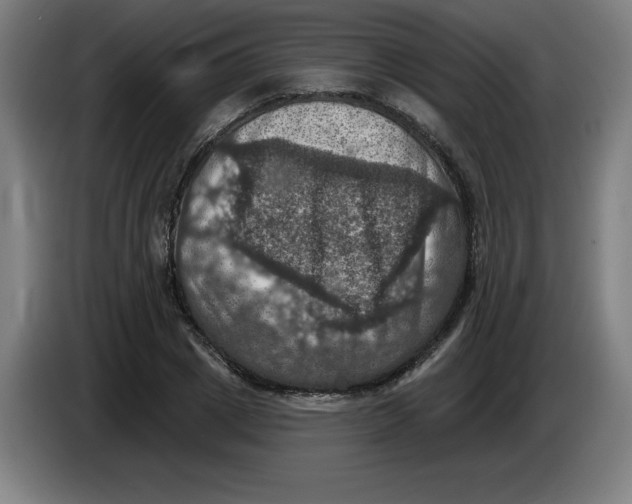 X0000085260833200703301831