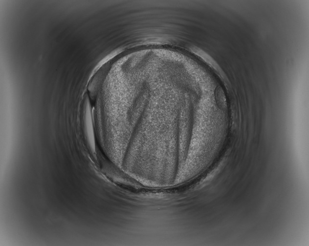 X0000085260834200703301831