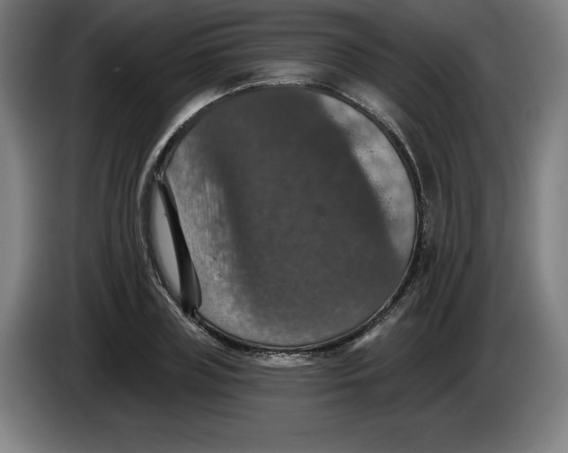 X0000085260835200703301831