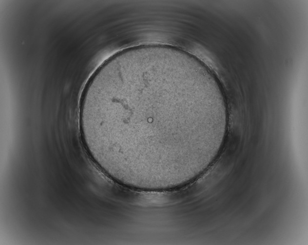 X0000085260836200703301831