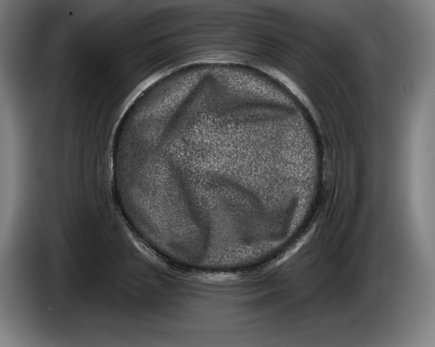 X0000085260837200703301831