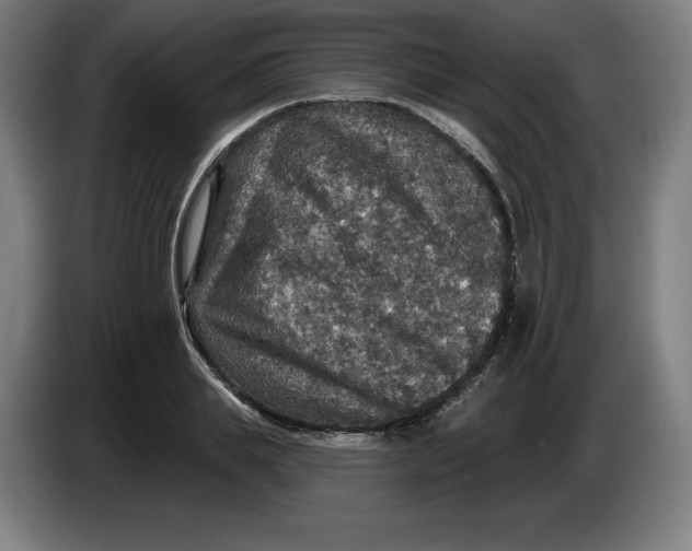 X0000085260839200703301831