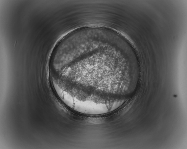 X0000085260840200703301831