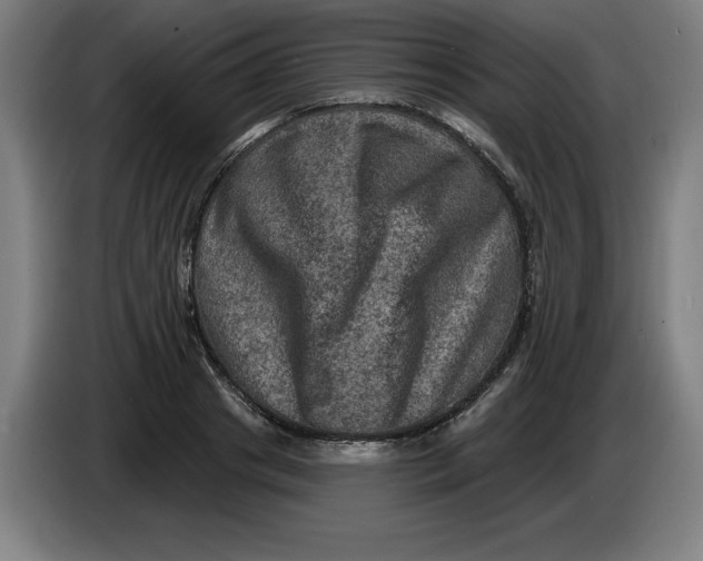 X0000085260841200703301831