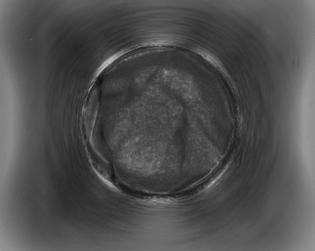 X0000085260842200703301831