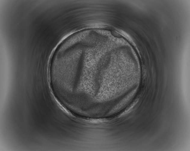 X0000085260843200703301831