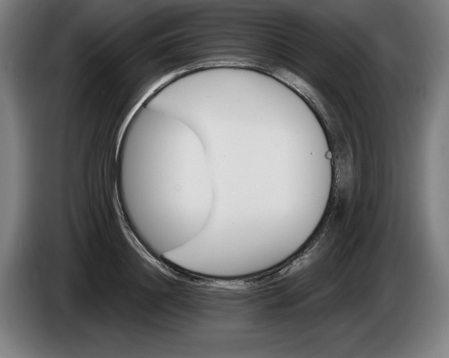 X0000085260844200703301831