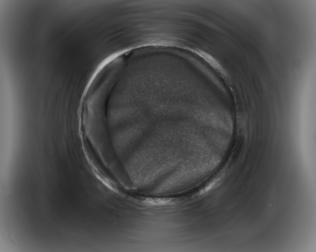 X0000085260846200703301831