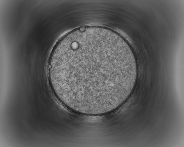 X0000085260848200703301831