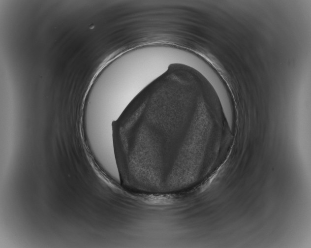 X0000085260850200703301831