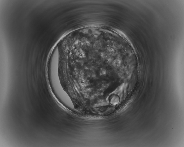 X0000085260851200703301831