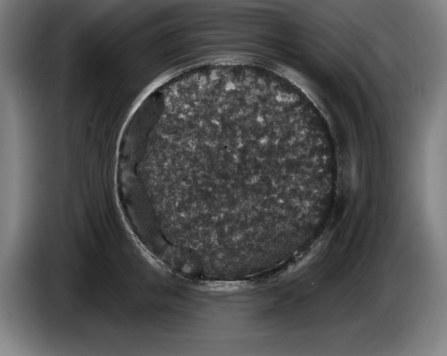 X0000085260853200703301831