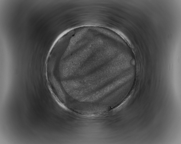 X0000085260854200703301831