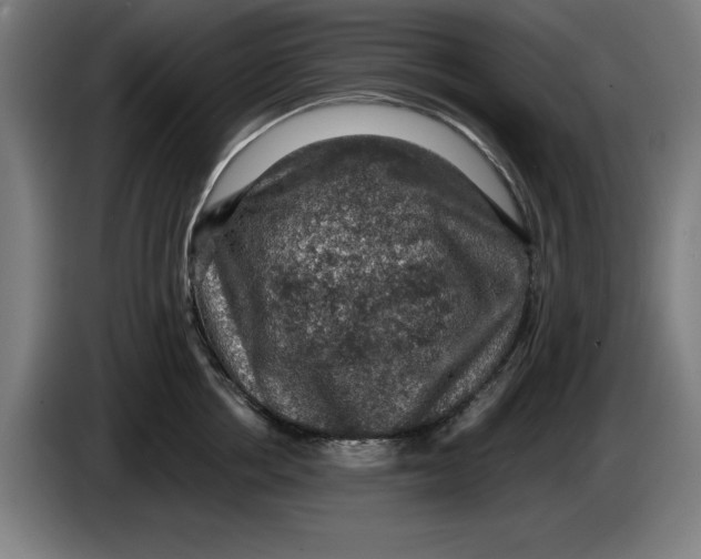 X0000085260858200703301831