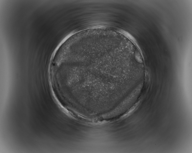 X0000085260859200703301831